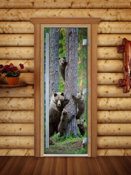 Дверь для сауны DoorWood Престиж А064 с фотопечатью, 70х190, коробка ольха